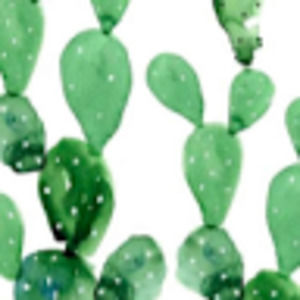 Meet your Posher, Carmen